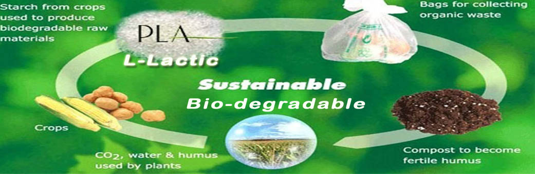 CRM Membrane for  L-Lactic Production